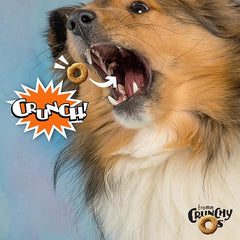 Fromm Crunchy Os Peanut Butter Jammers Dog Treats - Premium Crunchy Dog Treats - Peanut Butter Recipe