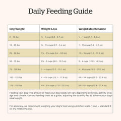 Now Fresh Grain-Free Senior Dry Dog Food with Turkey, Salmon & Duck, Premium Kibble Made with Real Meat & Fish, Chicken-Free Recipe, Glucosamine & Chondroitin for Healthy Joints