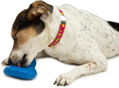 PetSafe Chilly Penguin, Freezable Dog Toy for Small Dogs, Fill and Freeze, Frozen Dog Toy to Fill with Treats, French Vanilla Scented, Interactive Pet Puzzle for Boredom or Separation Anxiety