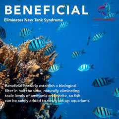 DrTim’s Aquatics Saltwater One & Only – Essential Marine Solution for Reef & Fish Tank Water Balance and Healthy, Stable Aquarium Environment