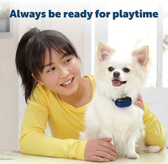 PetSafe RFA-188 3 Volt Replacement Battery Module - Compatible 3V Lithium Battery-Operated Collars for Cats and Dogs - (RFA 188)