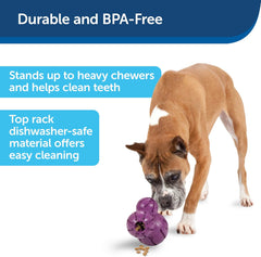 PetSafe Busy Buddy Barnacle - Dog Chew Toy - Treat Dispensing Dog Toys