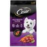CESAR Filet Mignon Flavor With Spring Vegetables Dry Small Breed Dog Food 5 Pounds