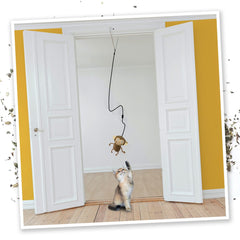 SMARTERPAW Meowijuana Door Jam 'n' Funky Monkey Catnip Toy