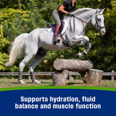 Farnam Apple Elite Horse Electrolyte Paste – 60 cc