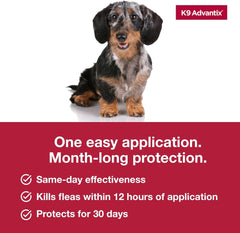 K9 Advantix™ II for Small Dogs – 2 Monthly Doses