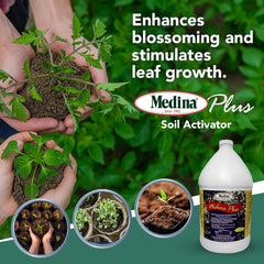 Medina® Plus – Enhanced Soil Activator & Foliar Feed