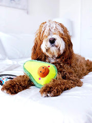 ZippyPaws NomNoms Plush Avocado Dog Toy