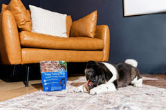 N-Bone® Puppy Teething Rings – Peanut Butter Flavor