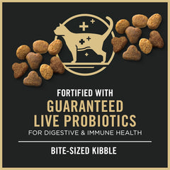 Purina Pro Plan Chicken & Rice Dry Cat Food with Probiotics – 3.5 lb Bag