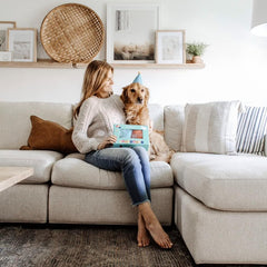 ZippyPaws - Birthday Blue Box Gift for Dogs and Puppies - 3 Pack