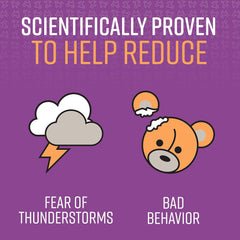 SENTRY PET Care Sentry Calming Collar for Dogs, Anxiety Reducing Pheromone Collar, Releases Pheromones for 30 Days, Helps Calm During Loud Noises and Separation, 1 Count