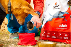 Nulo Frontrunner Dry Dog Food for Adult Dogs - Grain Inclusive Recipe with Pork, Barley, & Beef - All Natural Pet Foods with High Taurine Levels - Animal Protein for Lean Strong Muscles