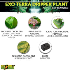 Exo Terra Dripper Plant