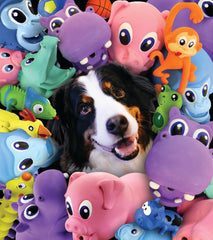 PetSport Jumbo Triceratops Dog Toy