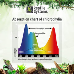 New Dawn LED Compact Lamp : 6500K, Full Spectrum LED Luminaire Lighting for Natural Plant Growth in Terrariums, Vivariums, Hydroponics & Aquaponics