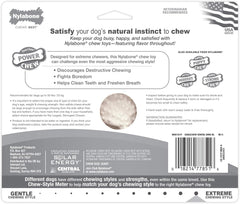 Nylabone Durable Dental Dinosaur Dog Chew