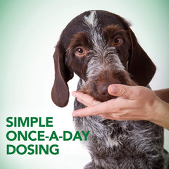 HERO PET Vet's Best Probiotic Soft Chews Dog Supplement - Supports Dog Digestive Health - Promotes a Healthy Gut - 30 day supply