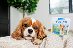 N-Bone FLOSSta Dental Chews for Dogs – Natural Beef Liver Flavor, No Dyes, Grain-Free, Breath Freshening, Plaque & Tartar Control, Digestible Teething Aid