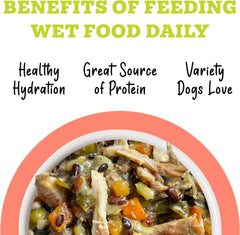 Weruva Awesome Bouncy Wet Dog Food, Chicken & Brown Rice with Veggies