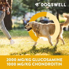 DOGSWELL Jerky Hip and Joint Dog Treats Grain Free Made in USA Only, Glucosamine and Chondroitin, Duck