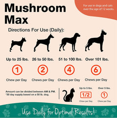 NaturVet Mushroom Max Advanced Immune Support Dog Supplement – Helps Strengthen Immunity, Overall Health for Dogs – Includes Shitake Mushrooms, Reishi, Turkey Tail – 60 Ct.