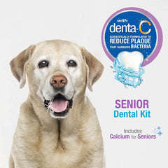 Nylabone Advanced Oral Care Senior Dog Dental Kit Bacon Flavor Small
