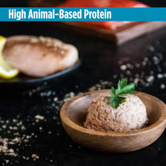 Nulo Salmon & Mackerel Pate Wet Canned Cat Food, 12.5 Ounce (Pack of 12)