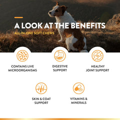 NaturVet All-in-One Dog Supplement - for Joint Support, Digestion, Skin, Coat Care – Dog Multivitamins with Minerals, Omega-3, 6, 9 – Wheat-Free Vitamins for Dogs – 60 Soft Chews