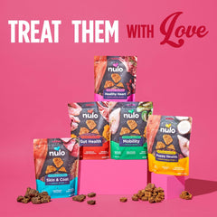 Nulo Functional Jerky Bites Puppy Health Dog Treats 5 OZ Bag