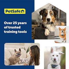 PetSafe Soft Point Replacement Pack Soft Point Training Collar No Pull Collar 4 Pack Replacement Soft Points