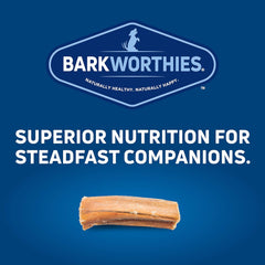 Barkworthies Bully Stick Bites - 10 oz (Pack of 1) - Protein-Rich, All-Natural Rawhide Alternative, Easily Digestible, Promotes Dental Health