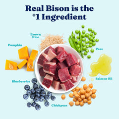 Solid Gold Bison Dry Dog Food for Large Dogs – High Protein, Whole Grain Kibble with Real Bison, Brown Rice & Omega 3 – Large Kibble w/Probiotics for Gut Health - Adult Dog Food - Nutrientboost™ 22-lb