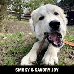 Barkworthies USA Hickory Smoked Beef Stick Treats - 15 Count (Pack of 1) - All-Natural, Smoky Aroma, Crunchy, Great for Training