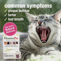 HomeoPet Feline Purr Dental, Safe and Natural Tooth and Dental Care for Cats, Cat Dental Care, 15 Milliliters