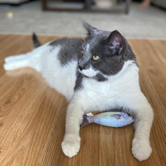 SPOT Fanatic Fish - Plush Cat Toy with Catnip and Crinkle Sound, Realistic Looking Fish Toy for Cats & Kittens to Cuddle, Chase, Hug, Kick, and Swat -6.5in, 1 Piece