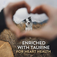 Sensitive Skin & Stomach with Salmon Protein & Ancient Grains Dry Food for Dogs & Puppies (30 lb. Bag)