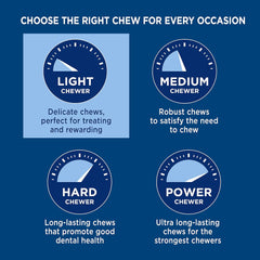 Barkworthies 6 Inch Beef Gullet Sticks - 12 Count (Pack of 1) - Protein-Packed, Supports Dental Health, Quick Hollow Snack, Great for Older Canines or Teething Puppies