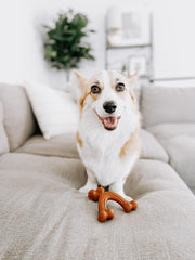 Nylabone Ergonomic Hold Wishbone Power Chew Toy for Dogs, Dog Toys for Aggressive Chewers, Bison Flavor