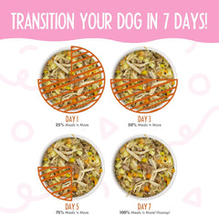 Weruva Meals 'n More Natural Wet Dog Food, Wok The Dog Plus Digestive Support (Pack of 12)