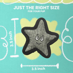 Snugarooz Kitty Starfish Toy with Catnip – Plush Cat Toy, Made from Recycled Materials, Soft & Durable, Crinkle Sounds, Ideal for Chewing and Play