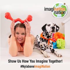 Nylabone Eggi Interactive Fillable Dog Chew Toy - Lightweight Bouncy Floatable Dog Treat Toy for Creative Play & Dog Exercise, Blue, Large/Giant - Up to 50 lbs. (1 Count)