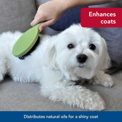 Safari Bristle Dog Brush - Gentle Grooming Brush for All Coat Types - Removes Dog Hair & Offers Natural Oil Distribution