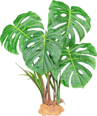 Komodo Standing Plant