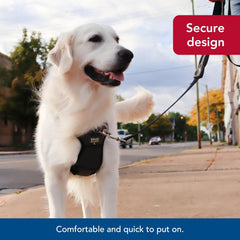 Coastal Pet Walk Right Front-Connect No-Pull Padded Dog Harness - Adjustable & Comfortable Dog Harness - Small & Large Breed Fit - Quality Pet Supplies - Black