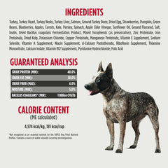 Nulo Freeze-Dried Raw Turkey & Salmon Recipe with Apples Complete and Balanced Dry Dog Food Kibble