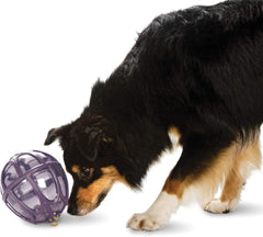 PetSafe Busy Buddy Kibble Nibble - Dog Toy - Treat and Food Dispenser - Slow Feeder