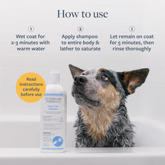 Veterinary Formula Flea and Tick Shampoo for Dogs and Cats