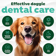 TropiClean Fresh Breath & Tartar Control Total Care System for Large Dogs
