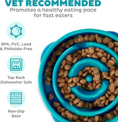 Outward Hound Fun Feeder Slo Bowl, Slow Feeder Dog Bowl, Medium/Mini, Turquoise